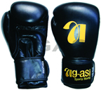 Agasi Boxing Gloves